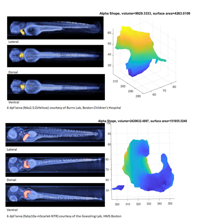 Optical Projection Tomography